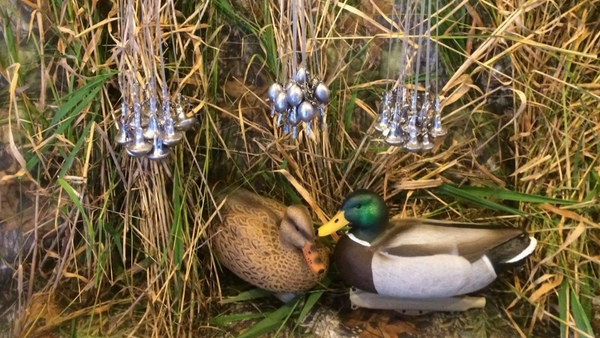 Duck Decoy Rigs