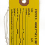Toe Tags