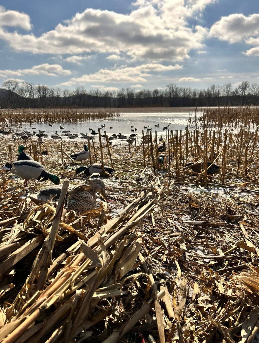 Gerber Decoy Rigs - 100% USA Made Texas Style Duck Decoy Rigs