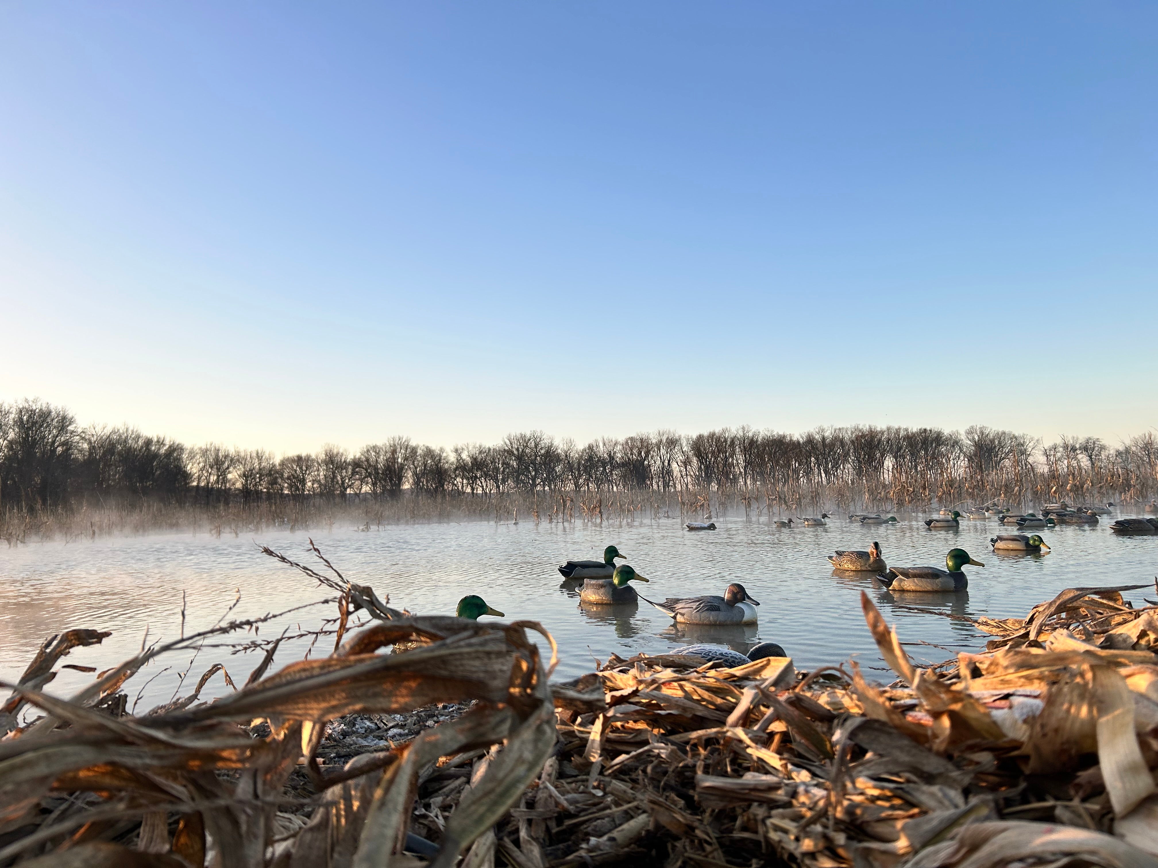 Duck Decoy Rigs 100% Made in America | Gerber Decoy Rigs